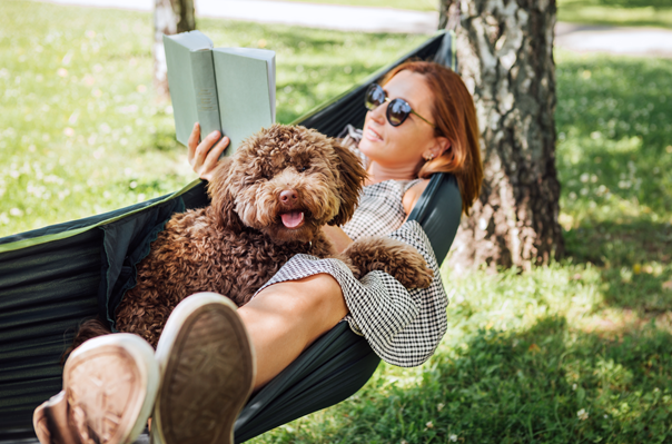image for Summer is Around the Corner: Are You and Your Pet Ready?