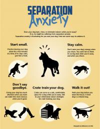 infographic_anxiety