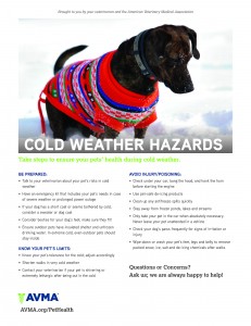 ColdWeatherSafety 3