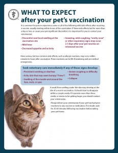 ExpectAfterVaccination 6